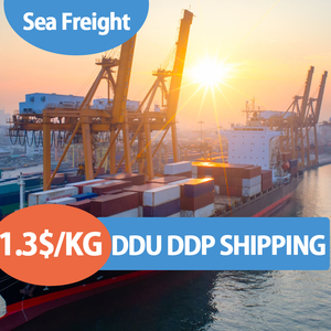 Services logistiques internationaux DDP, agent d'expédition porte-à-porte, transitaire aérien et maritime de la Chine vers les entrepôts américains - Product Image 4