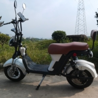2026 Fabrika Çıkışlı BREZİLYA 1000W Elektrikli Scooter Satılık Ücretsiz Kargo Elektrikli Scooter