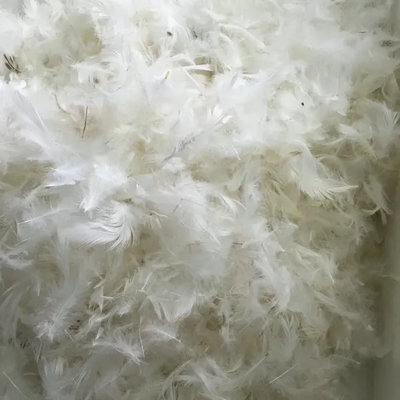 पिलो डुवेट के उपयोग के लिए प्राकृतिक 5-8 सेमी धुला हुआ सफेद डक डाउन पंख
