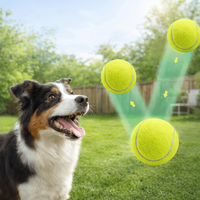Ballons de tennis standard HIGHKING WQ-4 personnalisables avec logo, jaune optique, feutre écologique, pressurisés pour l'entraînement en extérieur