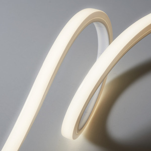 Marine <strong>Lights</strong> Swimming <strong>Pool</strong> Linear <strong>Lights</strong> UV Resistant Saltwater Resistant Waterproof IP68 Flexible <strong>LED</strong> Neon <strong>Strip</strong> <strong>Lights</strong> - Product Image 3