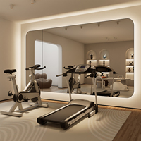 Vente en gros en usine Miroir mural de salle de sport pour studio de danse complet intérieur haute définition de grande taille avec lumière LED