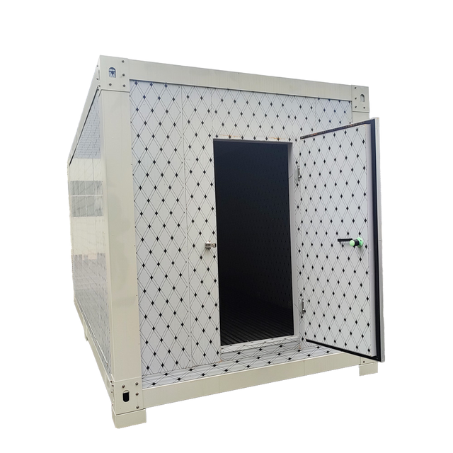 Ceiling-Ceilined Emerson Copeland Walk-in Chilled Storage Freezing Room Air Cooled System 110-240V Hinged Doors R-410A Remote
