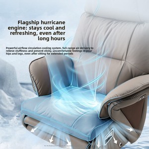 High-end Genuine <b>Leather</b> Ergonomic Executive Office <b>Chair</b> <b>Reclining</b> Ventilated Seat 360 Swivel Height 1666 Vent - Product Image 5