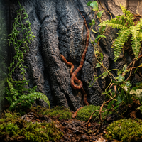 Tablero de Fondo 3D para Terrario de Reptiles, Textura de Roca Natural, Ligero, Impermeable, Decoración para Hábitat de Tortugas y Lagartos, Suministros para Reptiles
