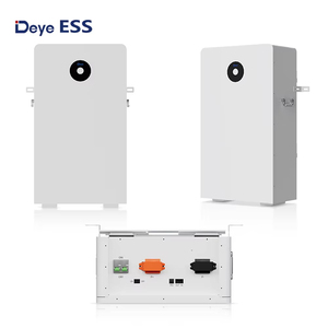 แบตเตอรี่สำรองพลังงานสำหรับที่อยู่อาศัย Deye รุ่น RW-F16 51.2V 314Ah RW-F16 แบตเตอรี่ Deye รุ่น RW-F16 - Product Image 5