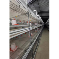Plumeuse à volaille galvanisée à chaud en acier inoxydable, équipement d'abattage, machine à épiler les plumes à vendre