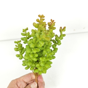 Flor hierba hiedra suculenta planta <span class=keywords><strong>Artificial</strong></span> bola tela y Material plástico para decoración <span class=keywords><strong>de</strong></span> pared interior al aire libre ocasiones <span class=keywords><strong>de</strong></span> boda - Product Image 5