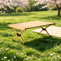 Table de camping pliable moderne en alliage d'aluminium, ultra-légère, finition grain de bois, pour pique-nique et mobilier d'extérieur