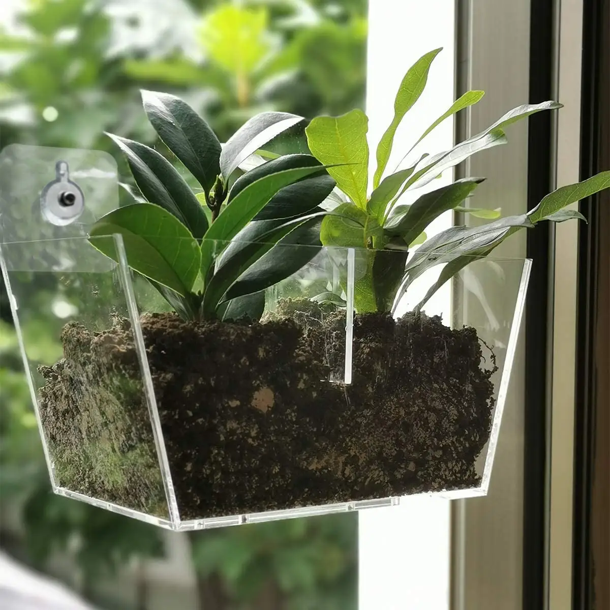 Acryl Fenster Pflanzer Boxen Kreative Blumentopf halter Pflanzen tablett Regal mit Saugnapf Great Outdoor Indoor Dekoratives Geschenk