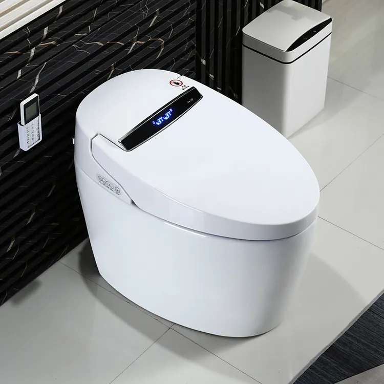 Inodoros inteligente Remote Electric Automatic Flush Wc Bidet One Piece intelligent Smart Toilet Bowl