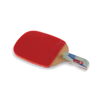 Haïtien D'origine usine moule développement produits pagaie de ping-pong personnalisation batte de ping-pong