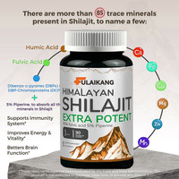 Capsules d'extrait d'acide fulvique de Shilajit végétalien non-OGM, marque privée OEM, 90 unités, complément énergétique pour adultes, 2 capsules