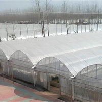 Vente en gros Serre d'extérieur GT Grande serre commerciale agricole multi-travée avec cadre en métal pour plantes