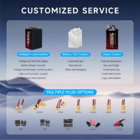 Аккумуляторный блок Senhang OEM/ODM высокой плотности 50000 мАч, твердотельный, 6S 12S 24S, для БПЛА, дронов, самолетов с фиксированным крылом, VTOL, мультироторов, сертифицирован CE