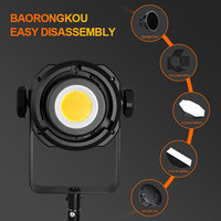 Lumière de photographie professionnelle 300W COB LED 90+ CRI à gradation progressive avec monture Bowens pour studio de portrait et streaming