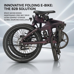 Vélo électrique pliable haute performance en carbone avec moteur central 250W et suspension Quad-Link |   Fabricant Fournisseur ODM OEM - Product Image 1