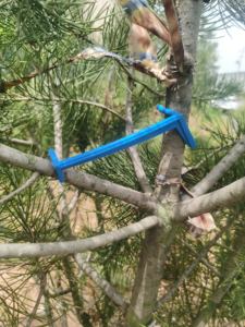 Herramienta para Doblar Ramas de Árboles Frutales, para Entrenar y Dar Forma al Crecimiento del Árbol, Abridor de Ángulos de Ramas para un Crecimiento Óptimo - Product Image 5