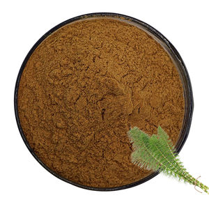 Toplu mevcut toptan fiyat atkuyruğu özü 10:1 yüksek kalite atkuyruğu çim özü tozu - Product Image 2