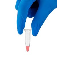 Fournisseur d'usine, tubes à centrifuger en plastique transparent de 1,5 ml, 500 pièces/sac, avec graduations, couvercle, fond conique, pour utilisation en laboratoire