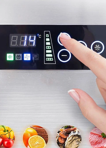 <strong>Manufacturer</strong> Fridge Refrigerator Blast <strong>Freezer</strong> Chiller Stand up <strong>Freezer</strong> <strong>Upright</strong>