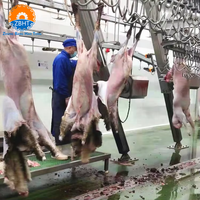 Línea Completa de Matadero para Ovejas/Cabras, 200-500 Cabezas/Hora, Transportador Automático y Despellejado, Diseño de Proyecto Llave en Mano