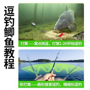 Juego de Pesca Jiuwang para Carpa Crucian, con Señuelo, Línea de Nailon, Listo para Pescar, Ajustable, para Agua Dulce - Product Image 3