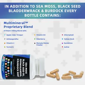 Effective Seamoss Extract Herbal Supplement Ashwagandha Black Seed Oil Burdock Root Custom Vegan Organic Sea Moss Capsules