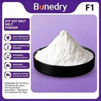 Poudre thermofusible blanche anti-sublimation en polyamide haute élasticité pour impression par transfert thermique DTF