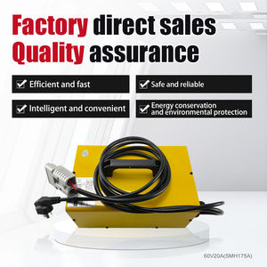 Cargador de Batería de Plomo-Ácido de 12V 24V 36V 48V 60V de Operación Sencilla Resistente a Altas Temperaturas para Automóvil Eléctrico / Montacargas - Product Image 4