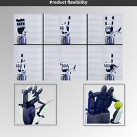 ZBDynamiX Agi Robot Humanoide, Mano Robótica con PLC para Manipulación de Materiales de 5-25 kg, para Robots de IA y Robots Articulados