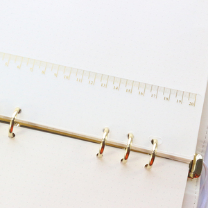 Righello Classico PP a 6 Fori per Raccoglitori, Agende, Ufficio, Scuola, Indice, Segnalibro, Accessori per Quaderni, Cancelleria A6 A5 B5 A4 - Product Image 3