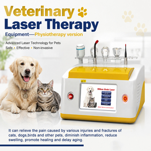 Macchina Laser Veterinaria di Classe <span class=keywords><strong>IV</strong></span> 980 per Terapia del Dolore, Guarigione delle Ferite ORL e Terapia a Luce Rossa per Animali Domestici - Product Image 6
