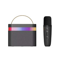 Enceinte sans fil karaoké K13 avec microphone, enceinte de fête, système de karaoké extérieur Ktv