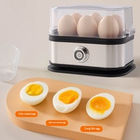 Cuiseur à œufs et vapeur électrique portable en acier inoxydable, mini-appareil de cuisine multifonctionnel pour le petit-déjeuner domestique