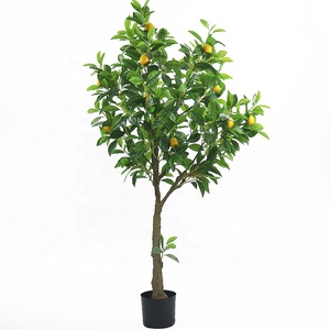 Limonero de plástico para decoración de interiores <span class=keywords><strong>con</strong></span> maceta de plástico - Product Image 1