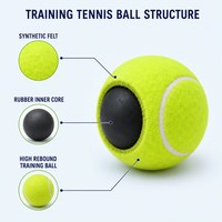 Balles de tennis OEM à marque privée, durables, à rebond élevé, noyau en caoutchouc, feutre synthétique, emballage en boîte pour l'entraînement et la pratique