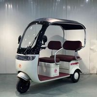 500W 48v20A Tricycle électrique populaire petit Scooter domestique avec trois places réglables véhicule électrique à corps ouvert