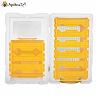 Ruche en polystyrène pour abeilles, boîte d'allumettes à 2 couches, Queen abeille miel, équipement pour l'apiculture