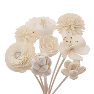 Estick Private Label Home Fragrance profumato Rattan Stick fiori secchi diffusore a bastoncini legno Sola fiore per rinfrescare l'aria
