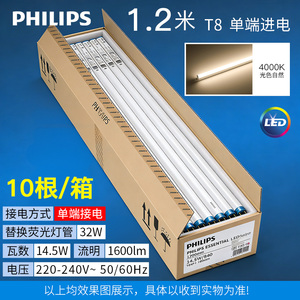 Tube <span class=keywords><strong>LED</strong></span> ESSENTIAL LEDtube 1200mm 14.5W <span class=keywords><strong>840</strong></span> <span class=keywords><strong>T8</strong></span> 1600LM 220v-240v, entrée d'alimentation à une extrémité, 10 pièces/paquet - Product Image 5