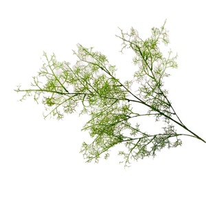 Plante artificielle d'asperge Secret Garden, 90 cm de long, feuilles en plastique, branche décorative pour mariage - Product Image 1