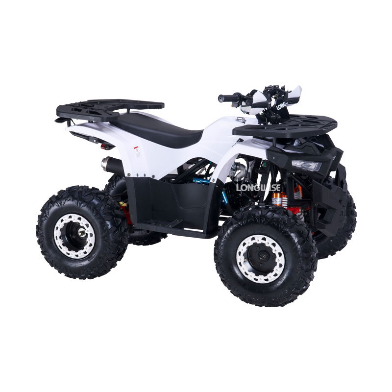 OEM Multi functional Practical 125cc Quad