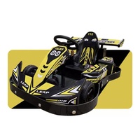 Karting électrique professionnel pour adolescents, grand karting commercial à transmission par arbre, fabriqué en métal et plastique durables