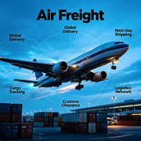 Service professionnel de logistique DDP |   Expédition maritime et aérienne sécurisée de Chine vers l'Argentine, le Venezuela, l'Ukraine, le Brésil, le Cameroun