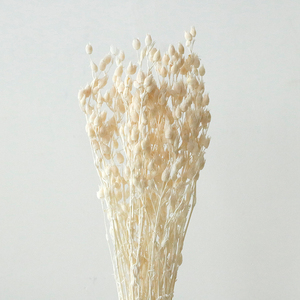 Yongsheng Flower - Ramo de Flores Importadas de Hierba Voladora, Venta al por Mayor de Fábrica, Decoración para el Hogar - Product Image 5