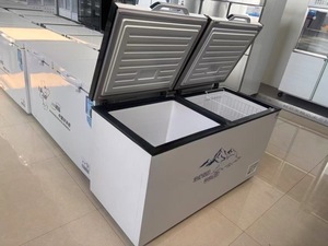 Congélateur horizontal à double <span class=keywords><strong>porte</strong></span> pour cuisine avec réfrigérateur vertical à ouverture par le haut et congélateur profond - Product Image 6