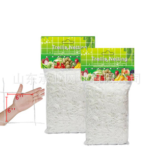 Magnífica Malla de Soporte para Plantas, Tejida en Poliéster Blanco, para Jardín y Enredaderas - Product Image 3