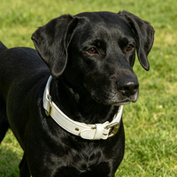 Kalung Anjing Kulit Sapi Putih Lembut dengan Cincin D Ganda dan Gesper Logam yang Dapat Disesuaikan untuk Anjing Kecil/Sedang/Besar