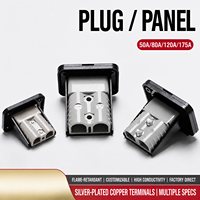 Connecteur de batterie solaire mâle en cuivre 2 broches 50A 600V, terminal IP67, résistant à la chaleur, boîtier PC UL94 V-0, type DIN